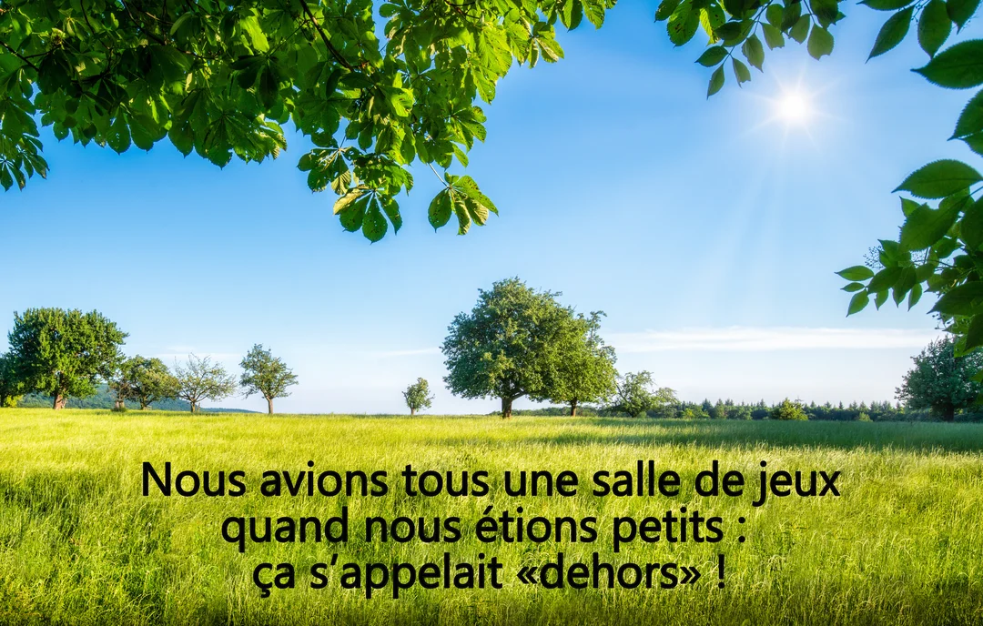 Un paysage de campagne ensoleillé avec une prairie verte et des arbres sous un ciel bleu, encadré par un feuillage vert luxuriant.