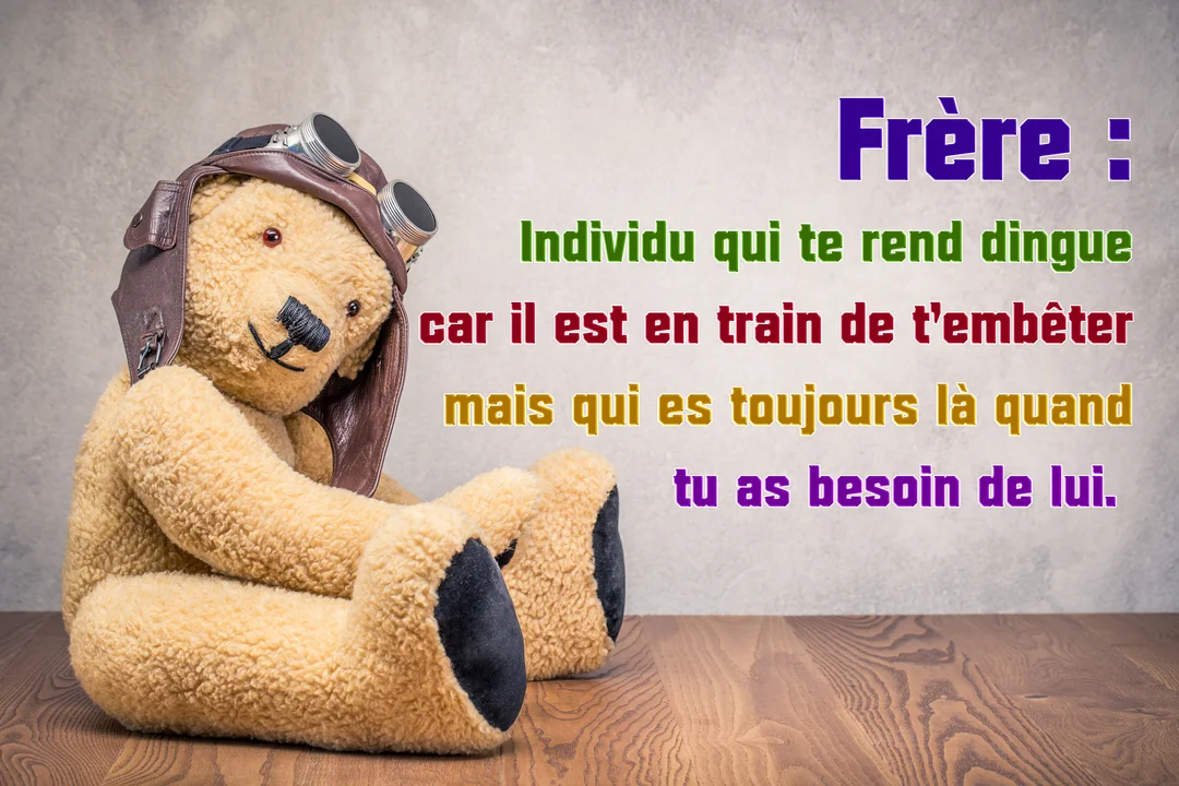 Un adorable ours en peluche marron portant un casque d'aviateur est assis sur un sol en bois, à côté d'une définition amusante du mot 'frère'.