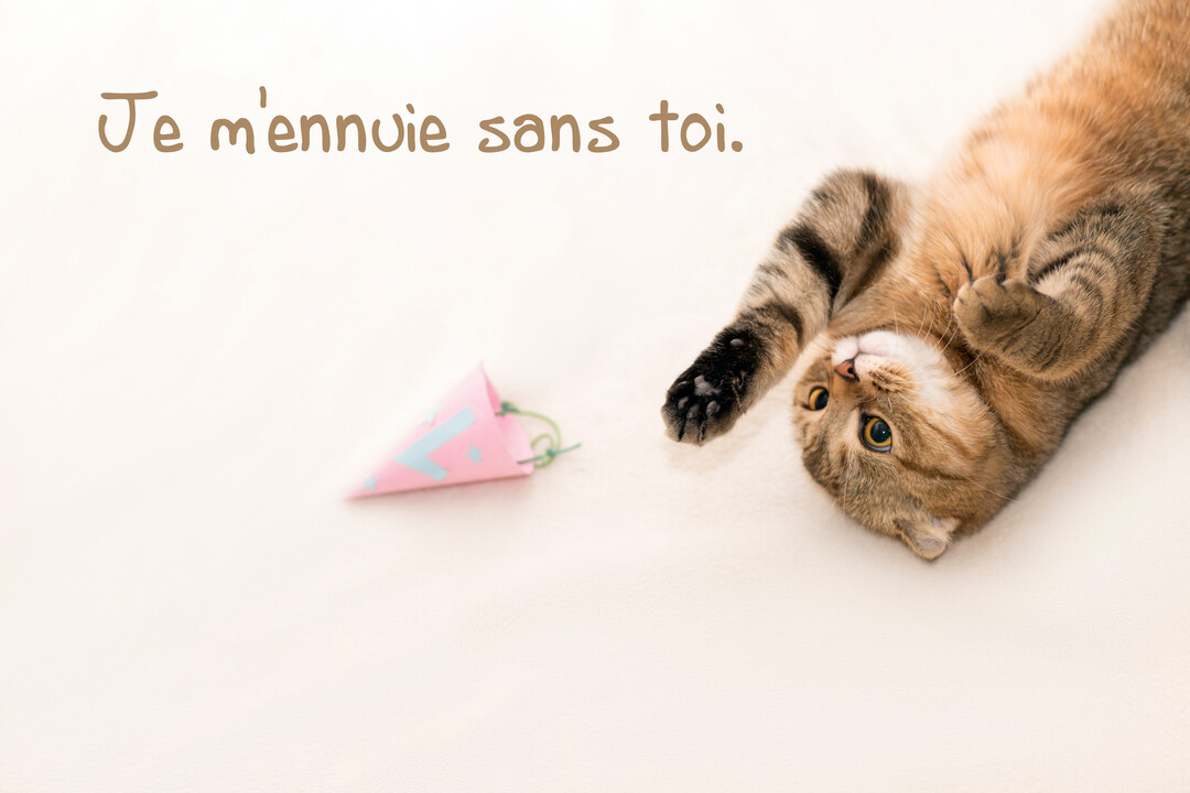 Un jeune chat tigré et doré est allongé sur le dos sur un fond crème, à côté d'un petit chapeau de fête rose.