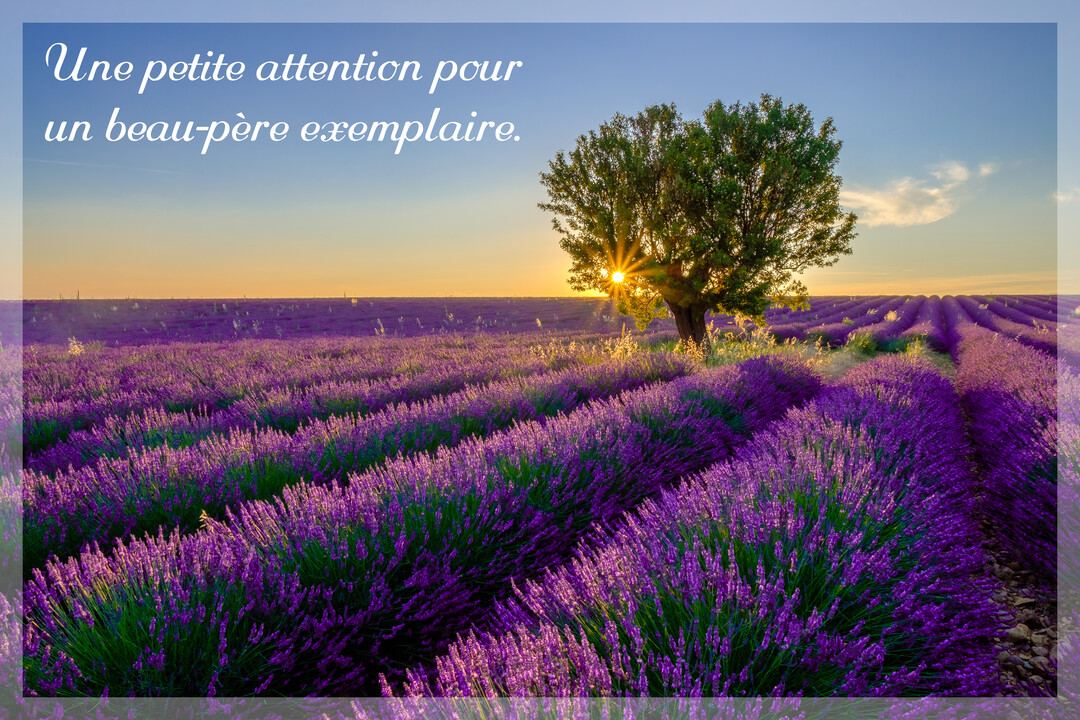 Un champ de lavande en fleurs s'étend sous un ciel crépusculaire, avec le soleil couchant qui brille à travers un arbre isolé.