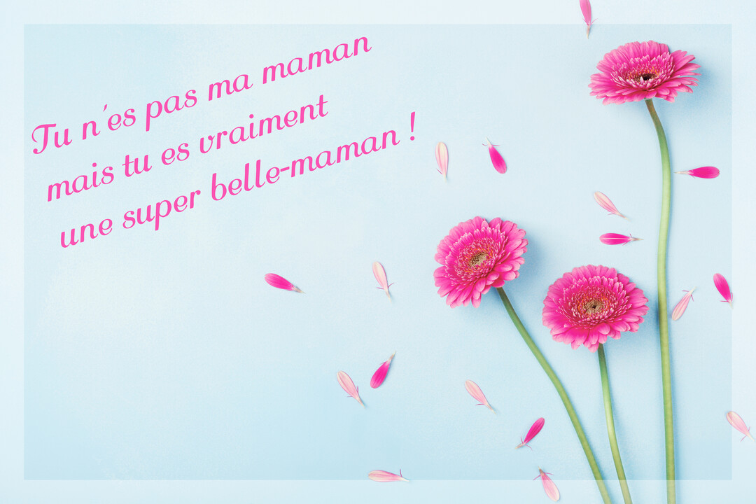 Sur un fond bleu clair, un message affectueux est écrit en rose, accompagné de trois fleurs de gerbera fuchsia et de pétales flottants.