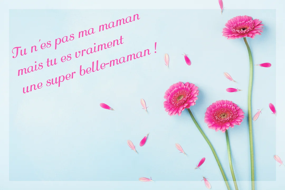 Sur un fond bleu clair, un message affectueux est écrit en rose, accompagné de trois fleurs de gerbera fuchsia et de pétales flottants.