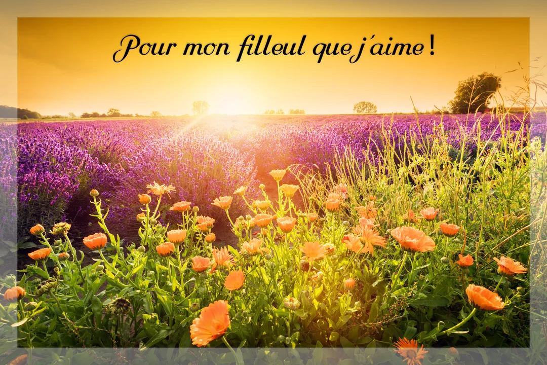 Un champ de lavande et de soucis orange est baigné par la lumière dorée d'un soleil couchant à l'horizon, créant une scène chaleureuse.