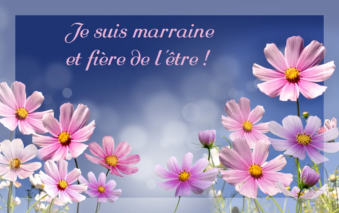 Texte calligraphié rose sur un ciel bleu, encadré par de nombreuses fleurs de cosmos roses et blanches au premier plan.