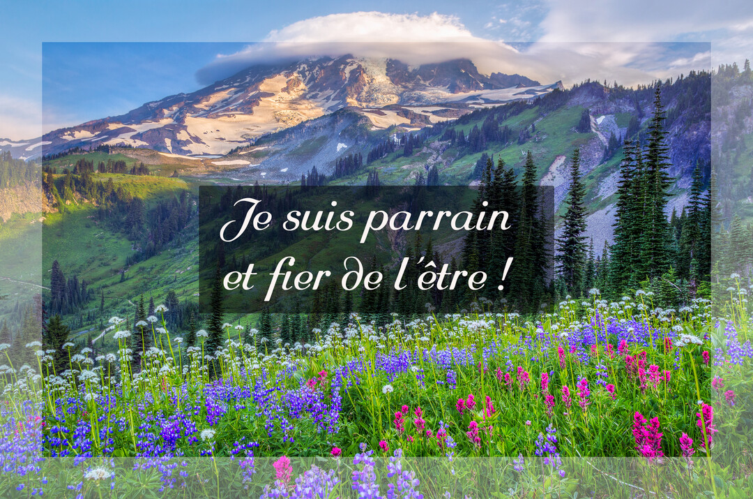 Un panorama de montagne verdoyante sous un ciel bleu, avec des sommets enneigés et une prairie de fleurs violettes, roses et blanches.