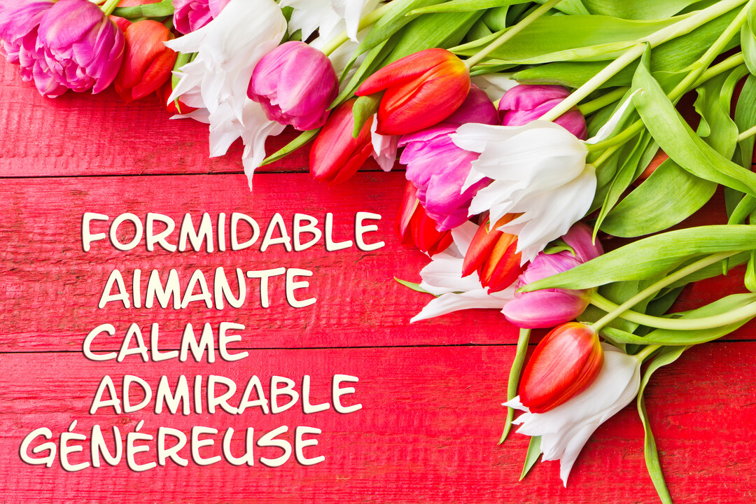 Des tulipes roses, rouges et blanches sont posées sur une surface en bois rouge à côté d'une liste d'adjectifs qualitatifs blancs.