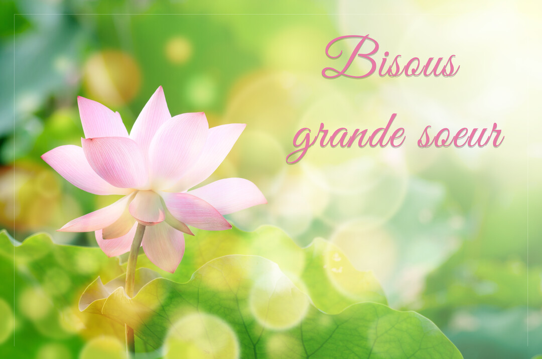 Une fleur de lotus rose s'épanouit sur un fond vert naturel et lumineux, avec le message manuscrit 'Bisous grande soeur' en rose.