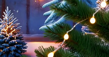 Aperçu de la carte : Bon Réveillon