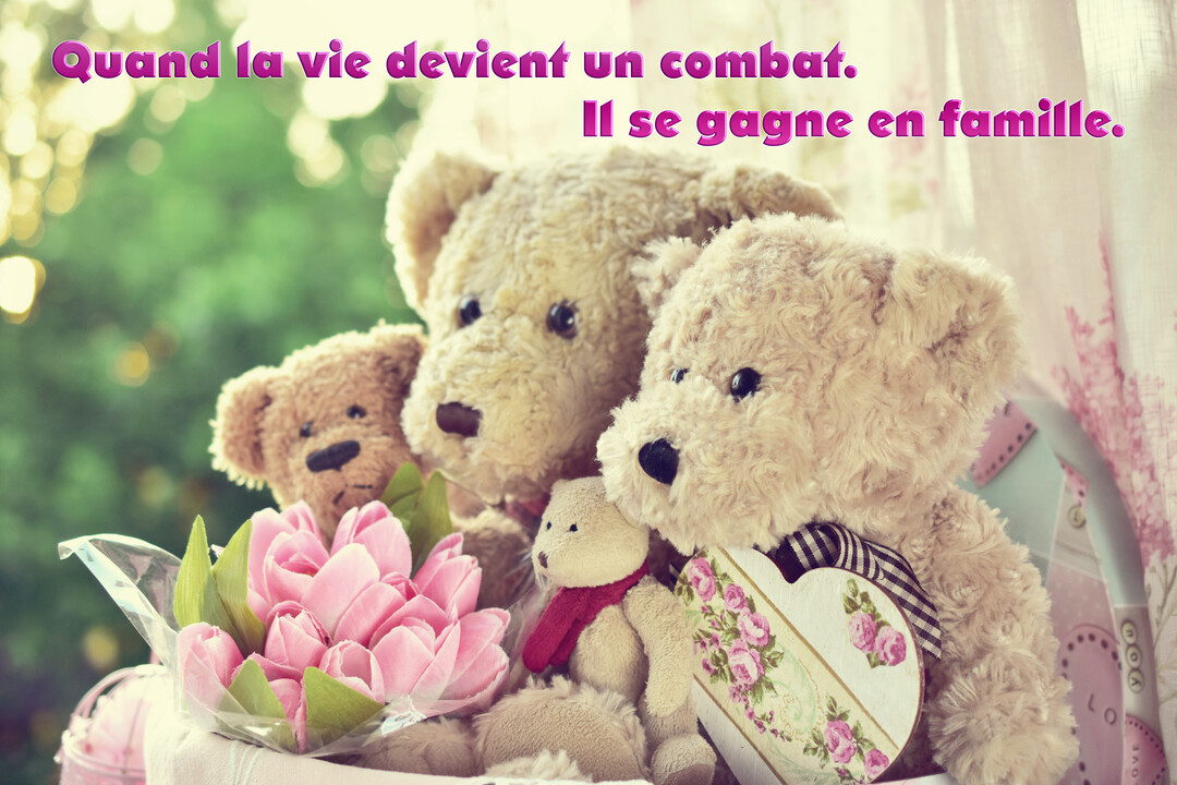 Une composition photographique montre une famille d'ours en peluche serrés les uns contre les autres, à côté d'un bouquet de tulipes roses.