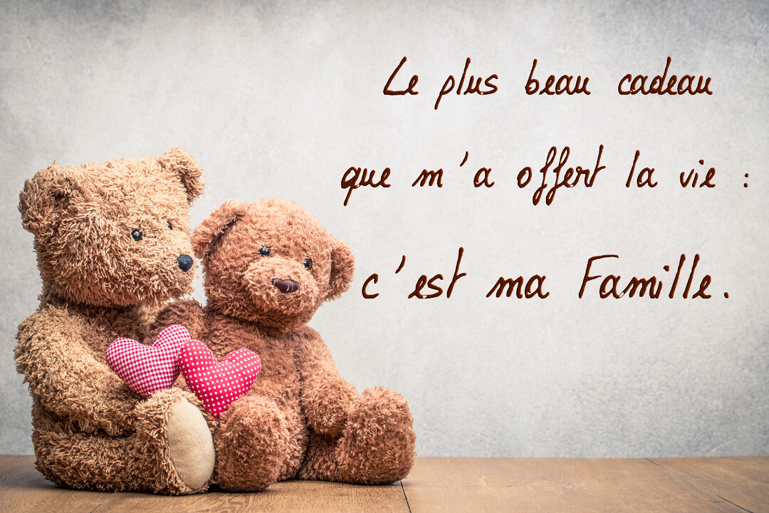 Deux oursons en peluche bruns sont assis l'un contre l'autre, tenant deux petits cœurs en tissu à carreaux rouges et blancs.