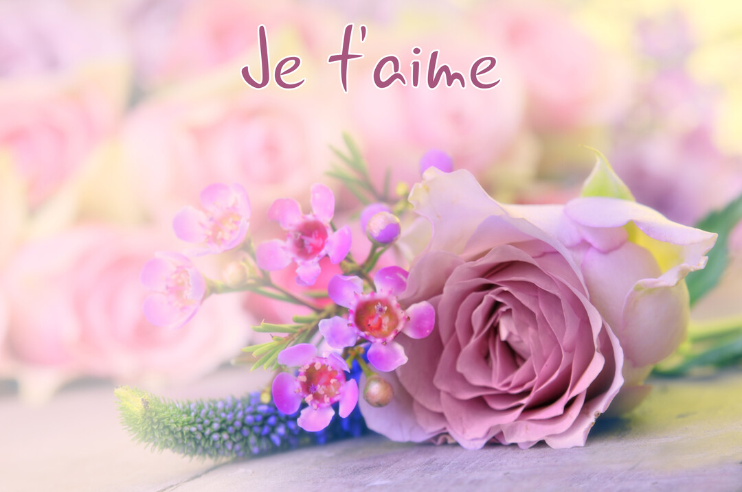 Un gros plan sur une rose mauve et de petites fleurs roses, avec le texte 'Je t'aime' écrit en script sur un fond floral flou.