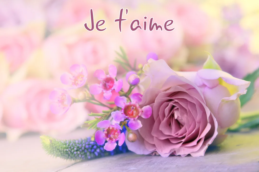 Un gros plan sur une rose mauve et de petites fleurs roses, avec le texte 'Je t'aime' écrit en script sur un fond floral flou.