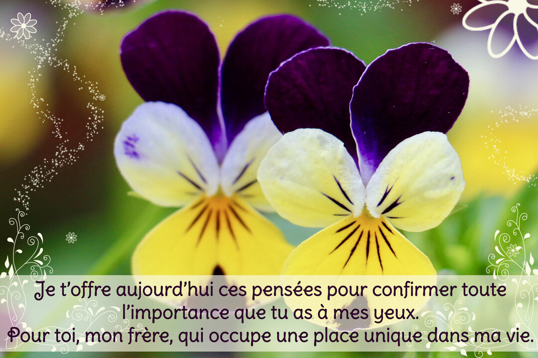 Gros plan sur deux fleurs de pensées aux pétales jaunes et violets, sur un fond vert flou, avec des ornements floraux blancs et un texte d'affection.
