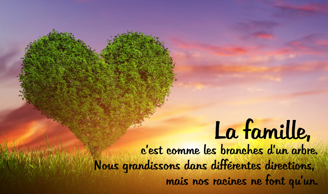 Un arbre verdoyant en forme de cœur se dresse dans un champ d'herbe sous un ciel de coucher de soleil aux teintes violettes et orangées.