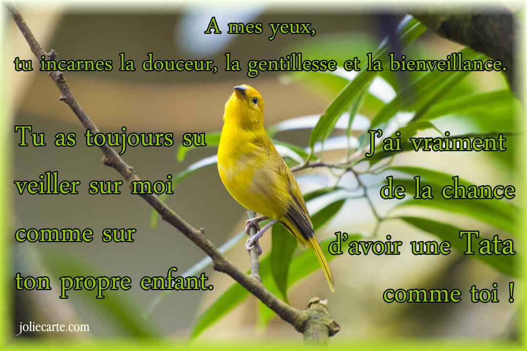 Un petit oiseau jaune vif est perché sur une branche fine, la tête levée, sur un fond flou de feuilles vertes luxuriantes.