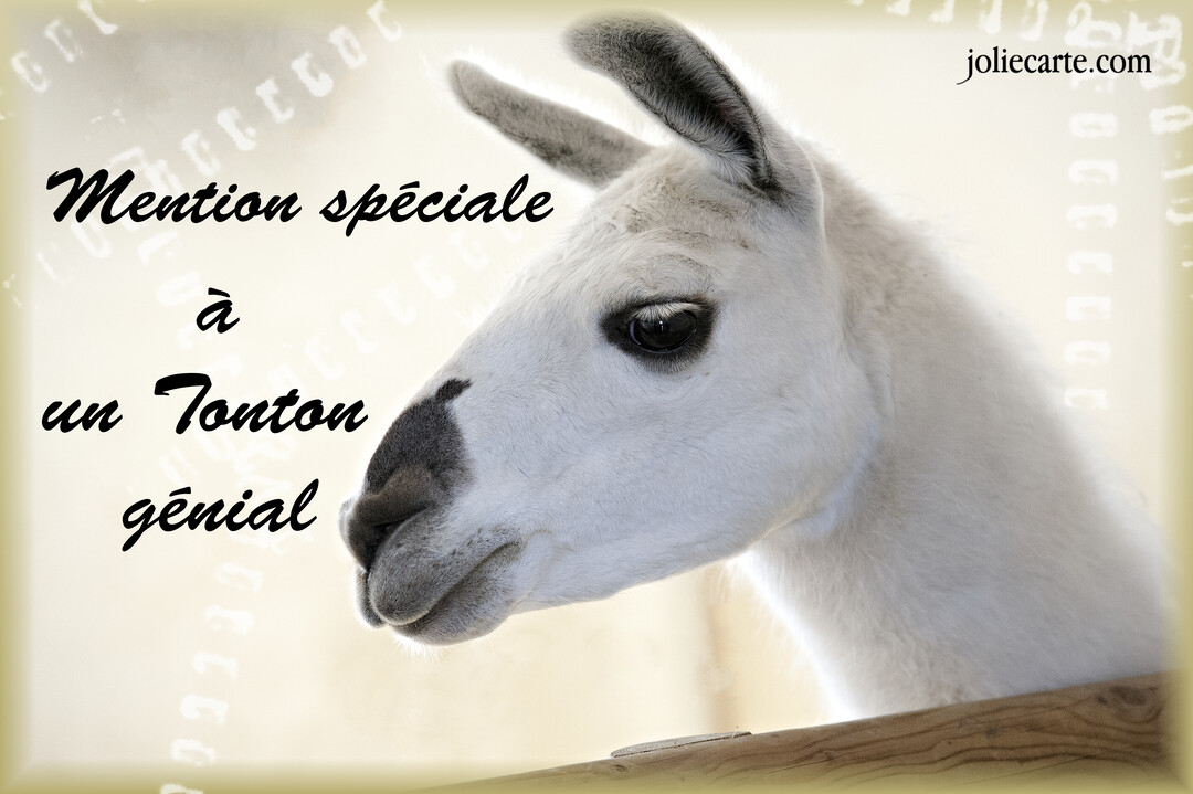 Photographie en gros plan du profil d'un lama blanc et doux, sur un fond crème, avec une inscription manuscrite noire.