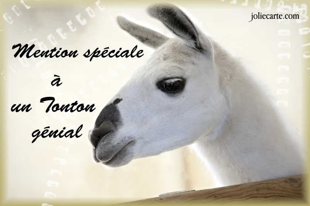 Photographie en gros plan du profil d'un lama blanc et doux, sur un fond crème, avec une inscription manuscrite noire.