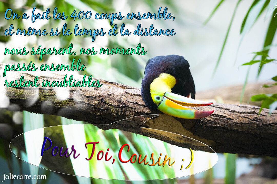 Un toucan au bec multicolore est penché sur une branche d'arbre, sur un fond de feuillage vert luxuriant et flouté.