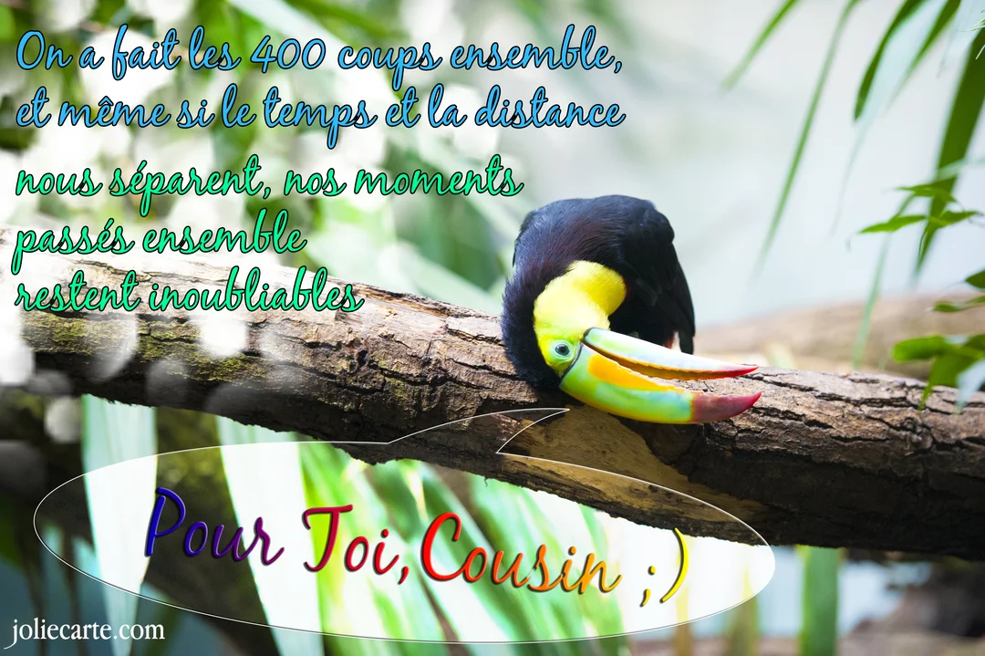 Un toucan au bec multicolore est penché sur une branche d'arbre, sur un fond de feuillage vert luxuriant et flouté.
