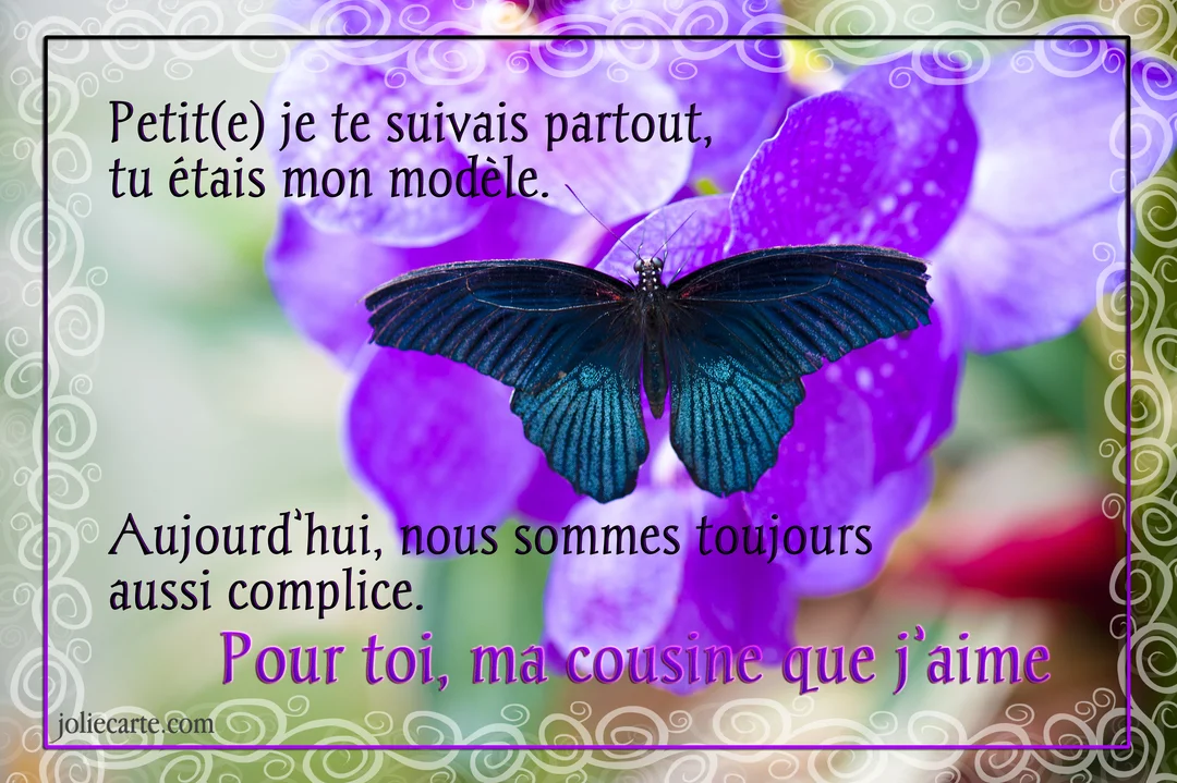 Un papillon noir aux reflets bleus est posé sur une grappe de fleurs violettes, avec un texte affectueux et une bordure décorative.