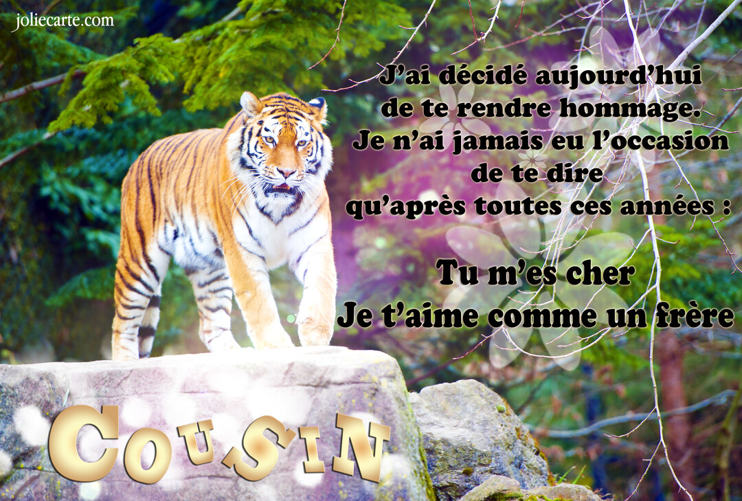 Un tigre puissant se tient sur un rocher dans une forêt, avec un texte superposé exprimant une affection fraternelle à un cousin.