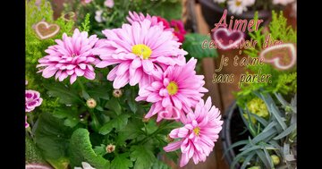 Aperçu de la carte : Aimer c'est savoir dire je t'aime sans parler.