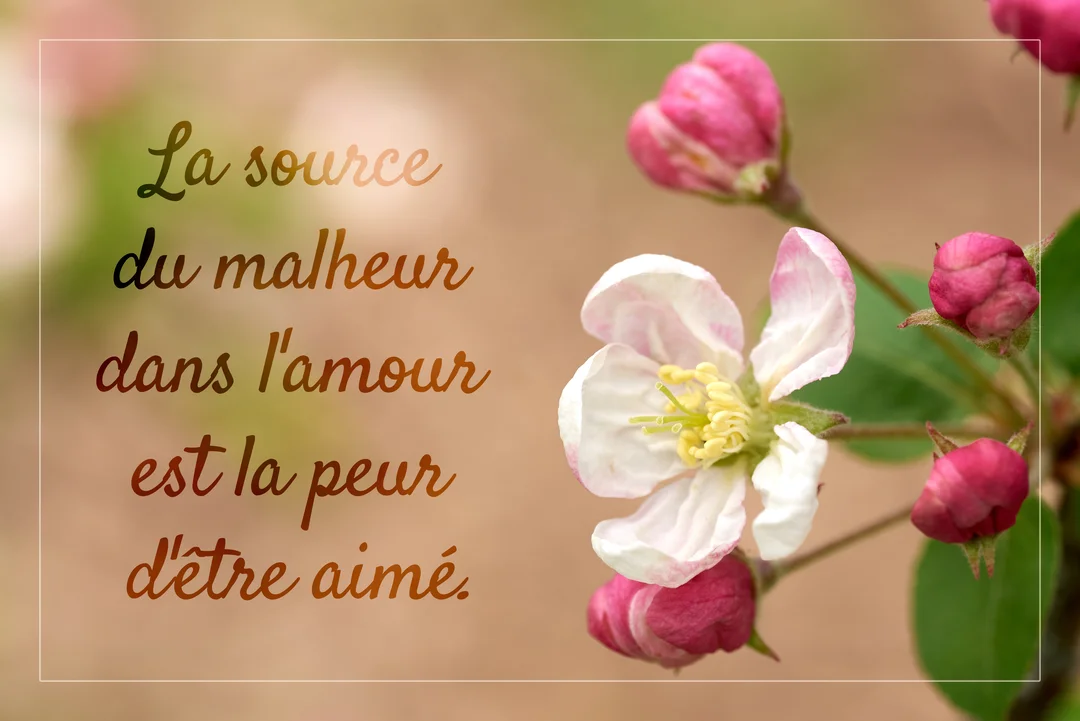 Une photographie en gros plan de fleurs de pommier printanières, à côté d'une citation poétique sur l'amour et la peur.