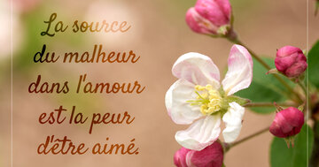 Aperçu de la carte : « La source du malheur dans l'amour est la peur d'être aimé... »