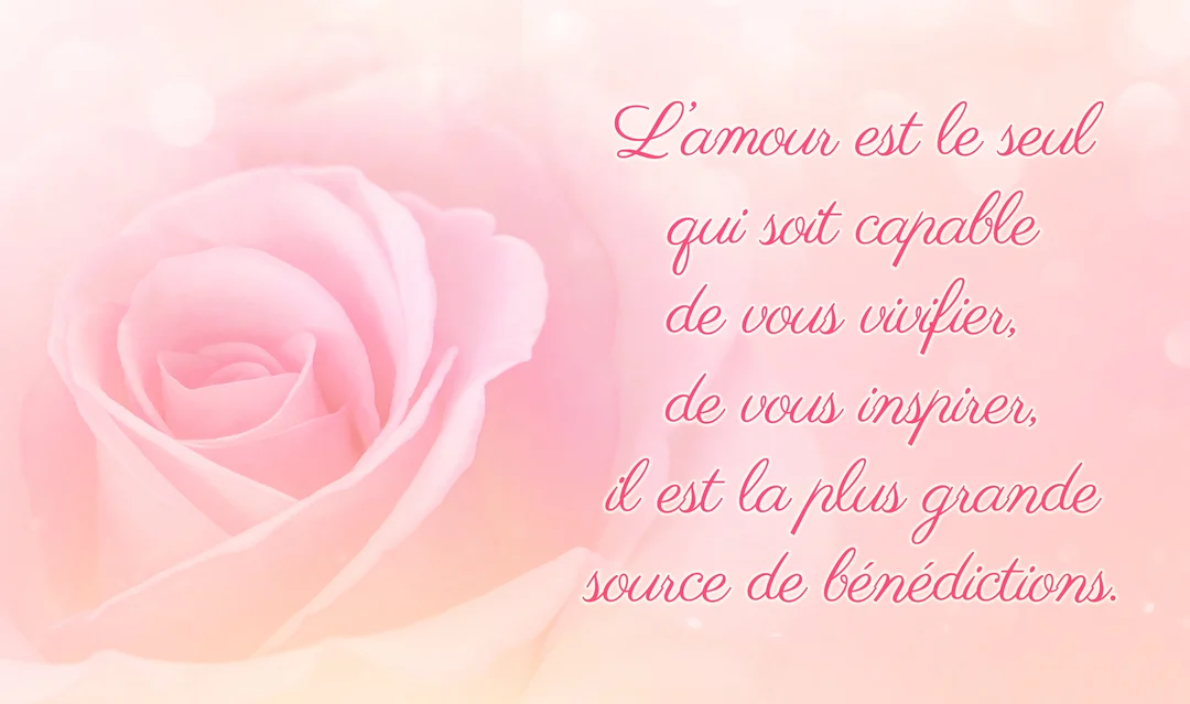 Une citation sur l'amour est écrite en rose sur un fond flou et lumineux représentant le cœur d'une rose aux pétales rose pastel.