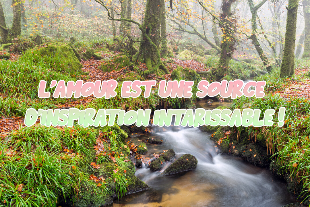 Un ruisseau s'écoule sur des roches moussues dans une forêt brumeuse, avec le texte superposé 'L'amour est une source d'inspiration intarissable !'.