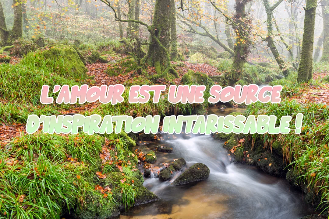 Un ruisseau s'écoule sur des roches moussues dans une forêt brumeuse, avec le texte superposé 'L'amour est une source d'inspiration intarissable !'.