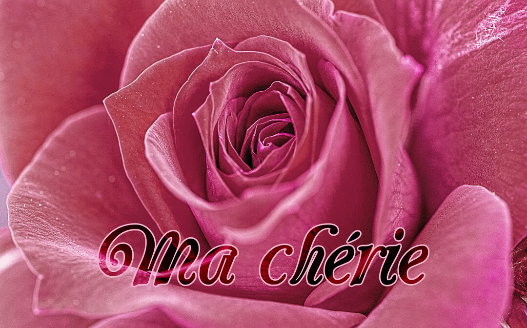 Gros plan sur une rose fuchsia aux pétales veloutés et scintillants, avec l'inscription 'Ma chérie' superposée en lettres stylisées.
