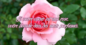 Aperçu de la carte : « Si votre coeur est une rose, votre bouche dira des mots parfumés... »