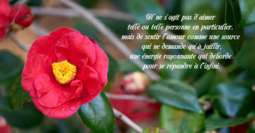 Aperçu de la carte : « Il ne s'agit pas d'aimer telle ou telle personne, mais de sentir l'amour... »