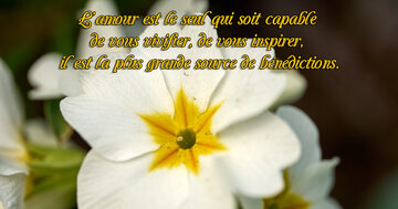 Aperçu de la carte : « L'amour est le seul capable de vous vivifier, de vous inspirer... »