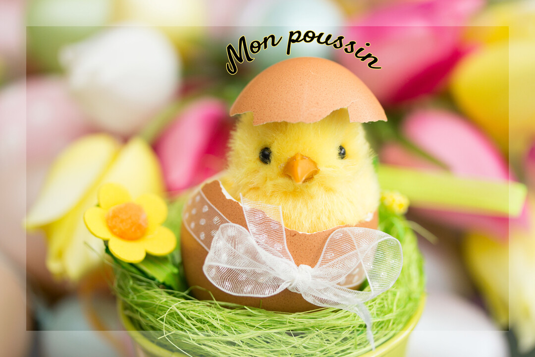 Un poussin jaune en peluche émerge d'une coquille d'œuf décorée, posé sur un nid vert avec des tulipes colorées en arrière-plan.