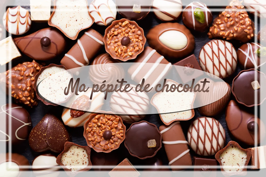 Vue de dessus d'un assortiment varié de chocolats au lait, noirs et blancs, de formes diverses, avec une inscription centrale.