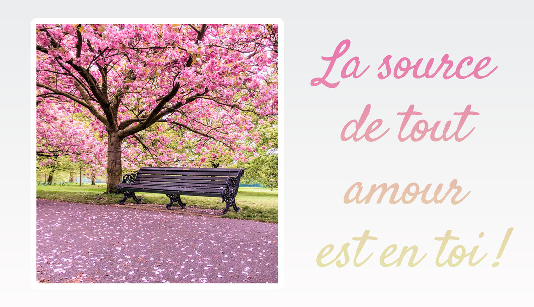 Scène printanière dans un parc où un banc est installé sous un grand cerisier aux fleurs roses, avec des pétales couvrant le sol.