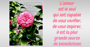 Aperçu de la carte : « L'amour, source de vie et d'inspiration... »