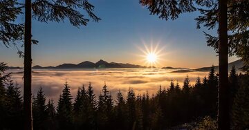 Aperçu de la carte : « Tu es le soleil qui me réchauffe le coeur et la lumière qui... »