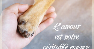 Aperçu de la carte : L'amour 
est notre 
véritable essence.