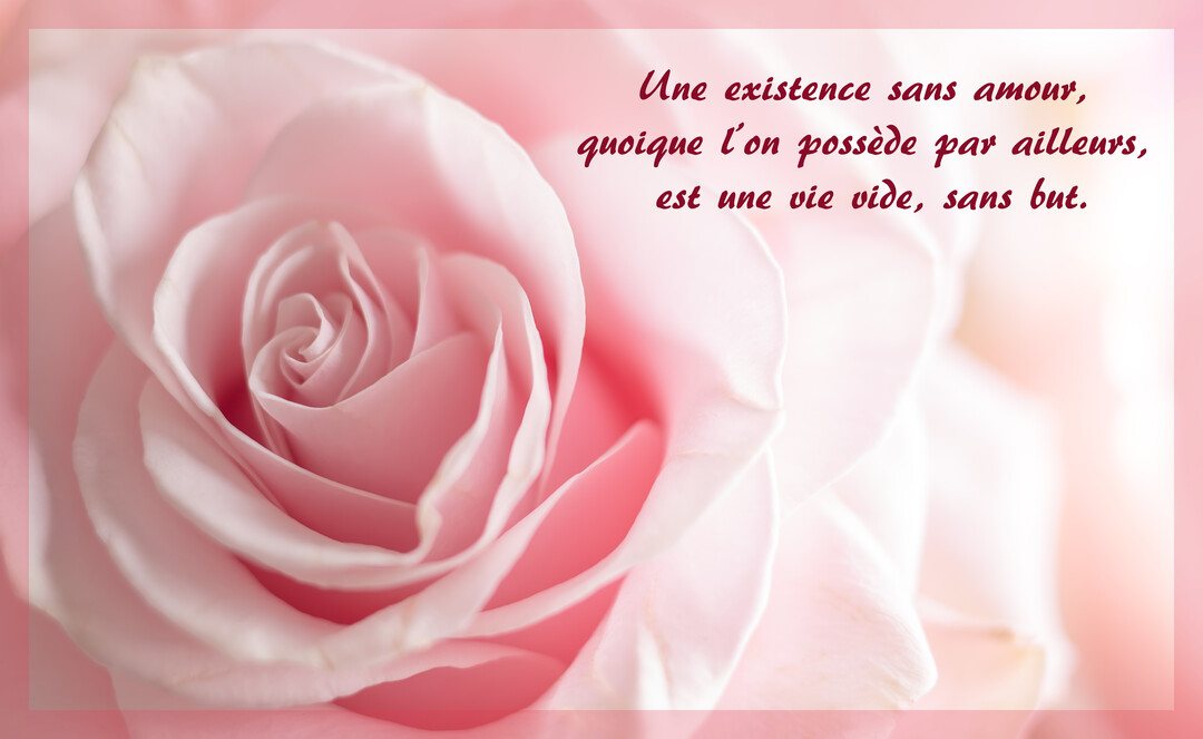 Vue en macro d'une rose d'un rose très doux, ses pétales formant une spirale délicate, avec une citation d'amour écrite en fuchsia.