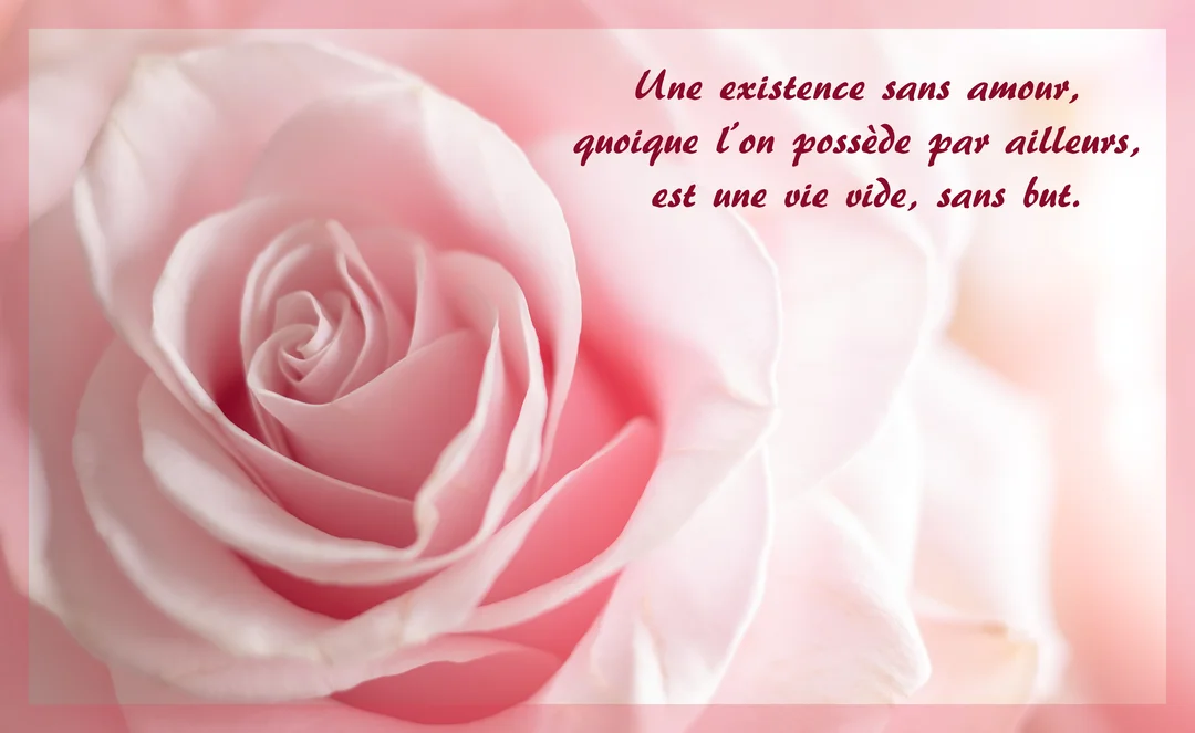 Vue en macro d'une rose d'un rose très doux, ses pétales formant une spirale délicate, avec une citation d'amour écrite en fuchsia.