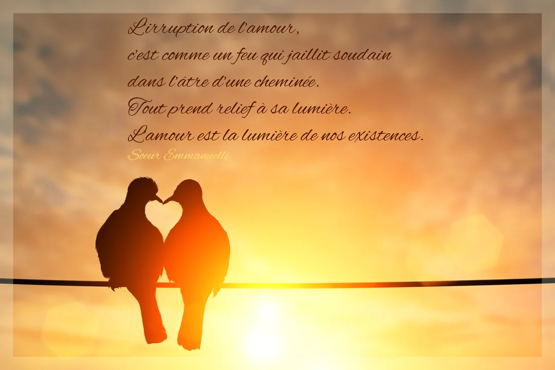 Deux oiseaux en silhouette sur un fil forment un cœur avec leurs becs, sur un fond de ciel orangé au soleil couchant.