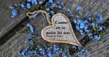 Aperçu de la carte : L'amour
      est la 
poésie des sens. 
Honoré de Balzac