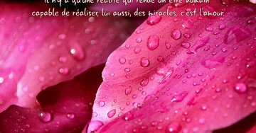 Aperçu de la carte : « Il n'y a qu'une réalité capable de réaliser des miracles : c'est l'amour. »...