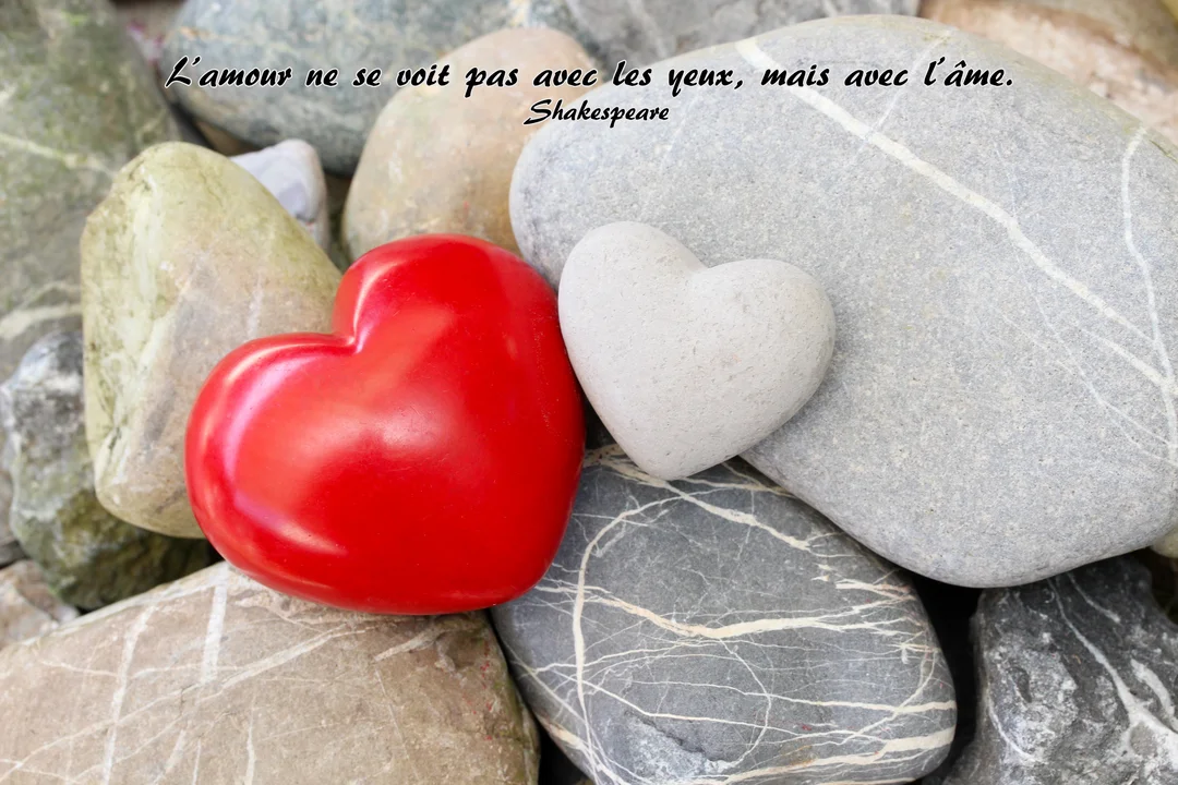 Le visuel de cette carte est une photographie de deux cœurs, l'un rouge et l'autre en pierre grise, reposant sur un lit de galets.