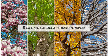 Aperçu de la carte : Il n'y a rien que l'amour ne puisse transformer.