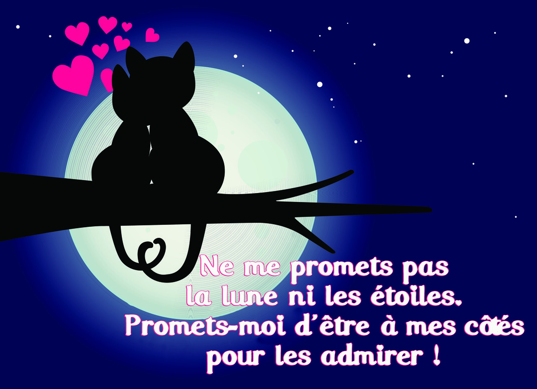 Deux silhouettes de chats amoureux sont assises sur une branche devant une pleine lune, avec des cœurs roses flottant au-dessus d'eux.