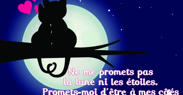 Aperçu de la carte : « Promets-moi d'être à mes côtés pour admirer les étoiles ensemble, c'est tout ce que... »